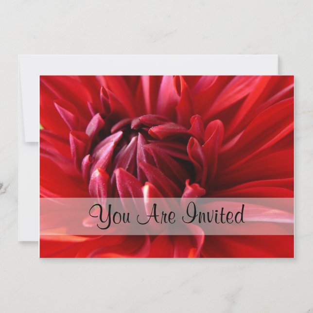 Red Dahlia You Are Invited Invitation (Front)