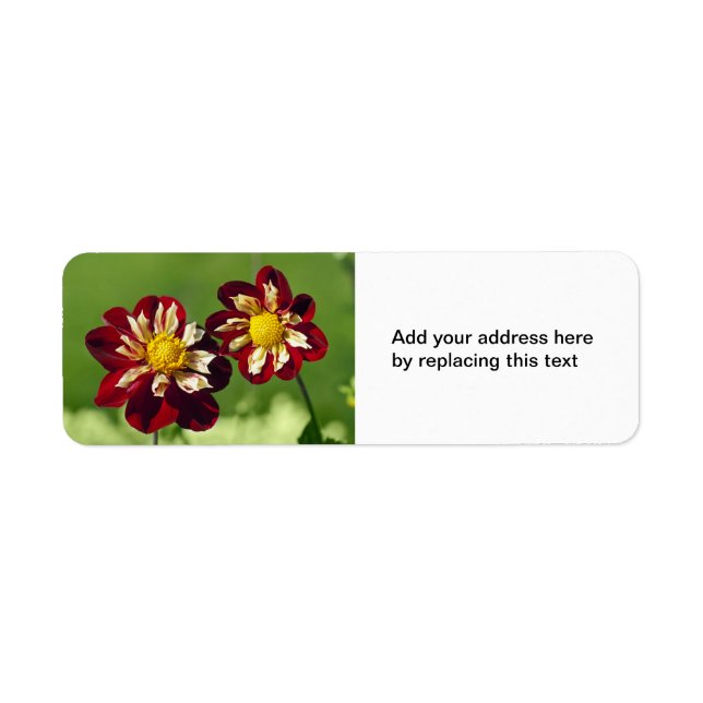 Red Dahlias Address Label (Front)