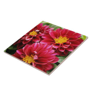 Red Dahlias Tile