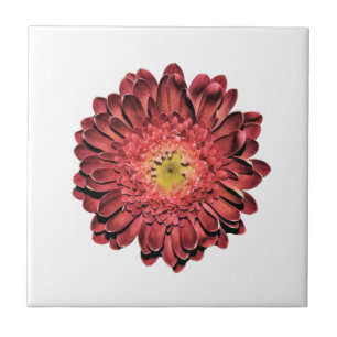 Red Daisy Flower Ceramic Tile