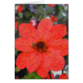 Red Daisy Note Card (Front)