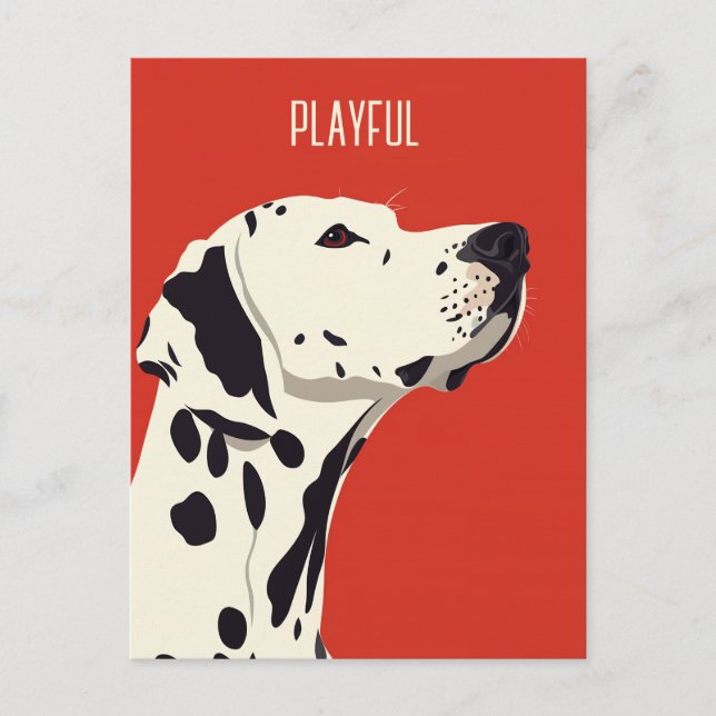 Red Dalmatian Postcard (Front)