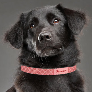 Red Damask Pattern With Custom Pet Name Pet Collar