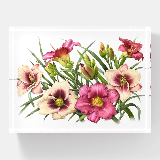 Red Daylily Bouquet Paperweight (Front)
