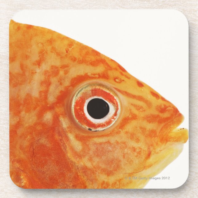 Red Deacon fish Beverage Coaster (Front)
