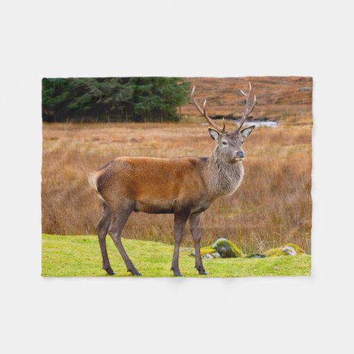 Red Deer Buck  Glen Coe Scotland Fleece Blanket