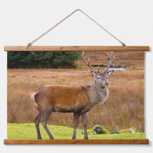 Red Deer Buck  Glen Coe Scotland Hanging Tapestry