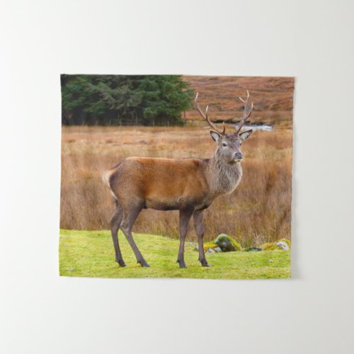 Red Deer Buck  Glen Coe Scotland Tapestry