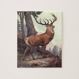 Red Deer by Winifred Austen, Vintage Wild Animals Jigsaw Puzzle