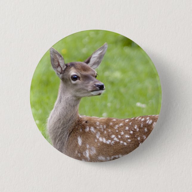 Red Deer Fawn Badge Pinback Button (Front)