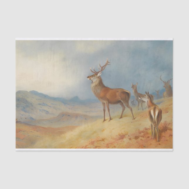 Red Deer In A Highland Landscape, Art Tissue Paper (Front)