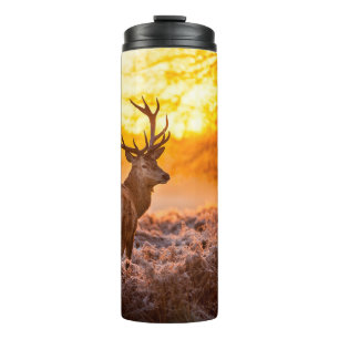 Red Deer in Morning Sun. deer,animal,wildlife,natu Thermal Tumbler