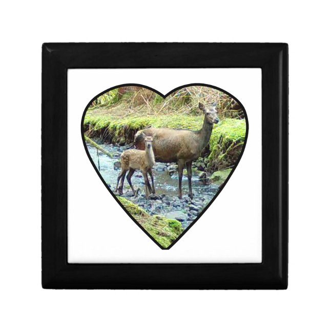 Red Deer Mom & Baby Wooden Keepsake Gift Box (Front)