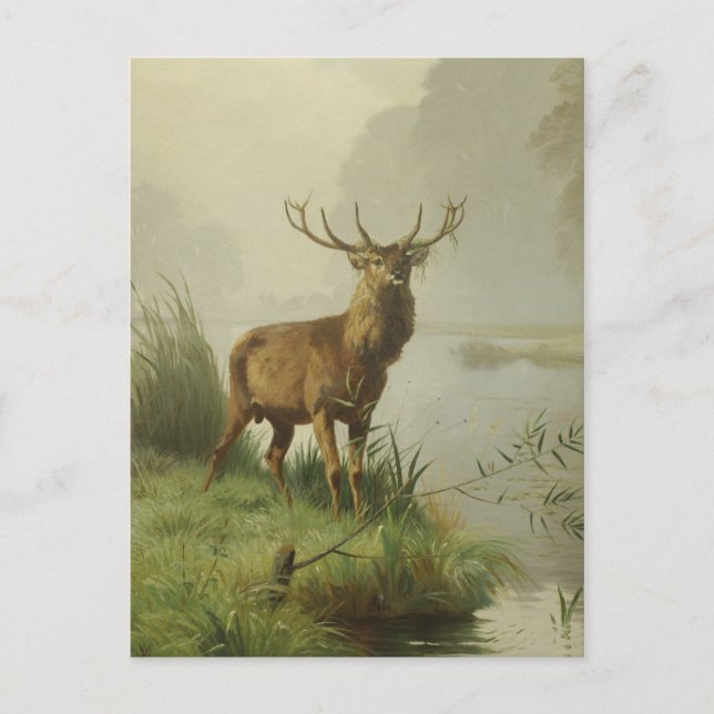 Red Deer painting Postcard (Front)