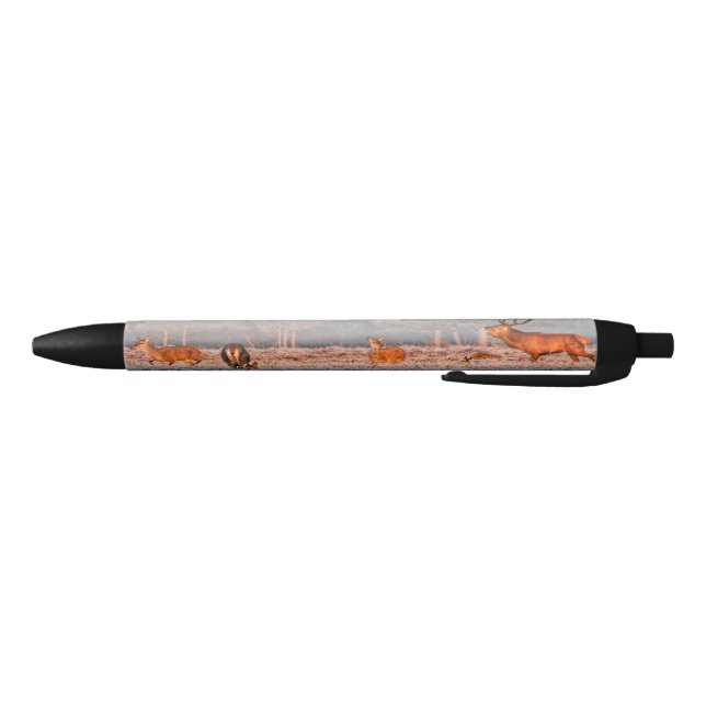 Red Deer Pen (Bottom)