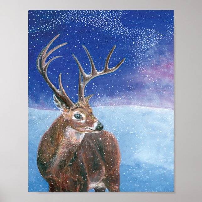 Red Deer stag in snow   Poster (Front)
