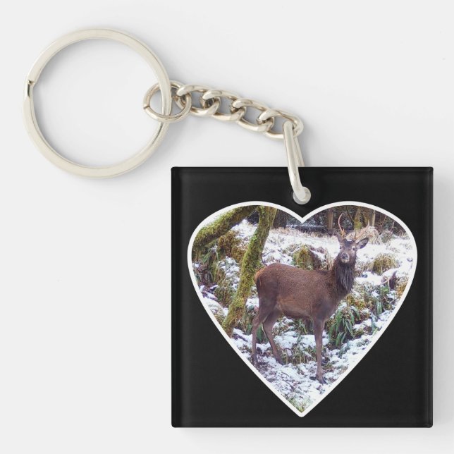 Red Deer Stag in the Snow  Keychain (Front)