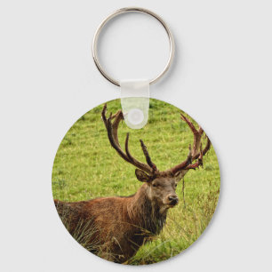 Red Deer Stag Keychain
