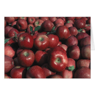 Red Delicious Apple Photo Blank Greeting Cards