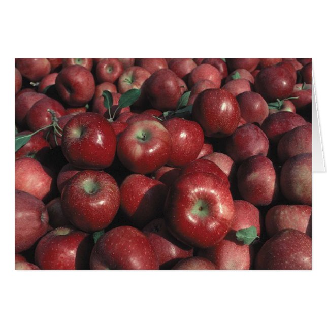 Red Delicious Apple Photo Blank Greeting Cards (Front Horizontal)