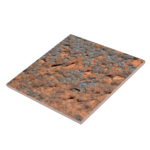 red desert stone lovers ceramic tile