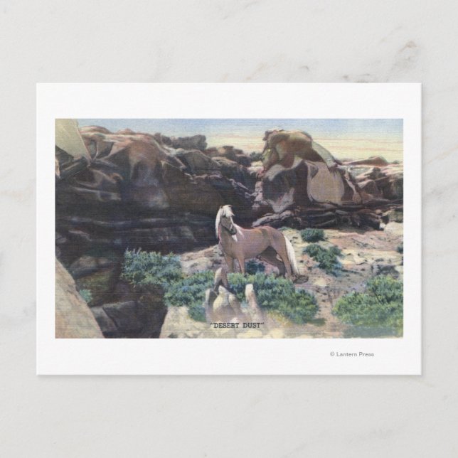 Red Desert, WY - Wild Palomino Stallion captured Postcard (Front)