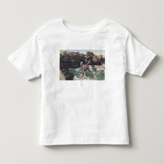 Red Desert, WY - Wild Palomino Stallion captured Toddler T-shirt (Front)