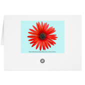 Red Devil (Back Horizontal)