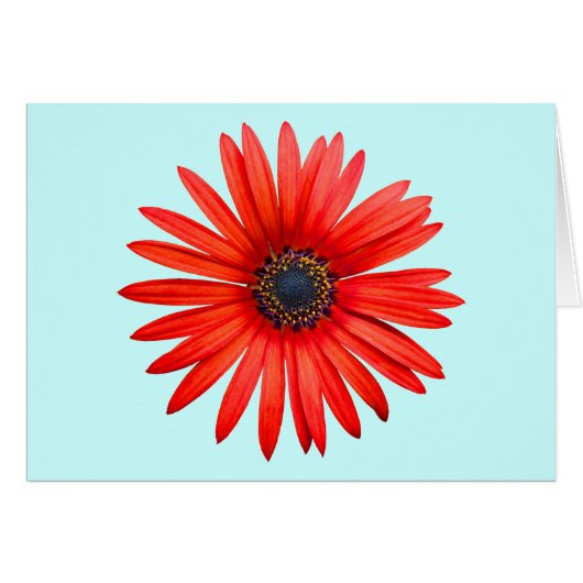 Red Devil (Front Horizontal)