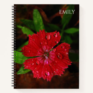 Red Dianthus Flower & Raindrops Photo, Custom Name Notebook