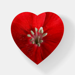 Red Dianthus Paperweight