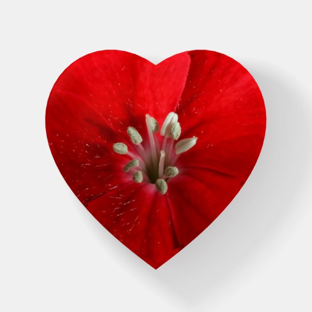 Red Dianthus Paperweight (Front)