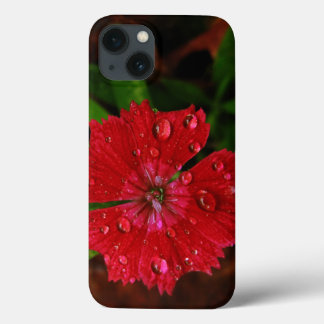 Red Dianthus With Raindrops iPhone 13 Case