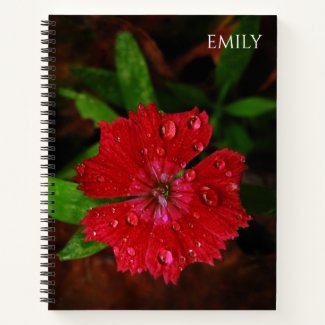 Red Dianthus With Raindrops, Custom Name Notebook