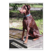 red doberman (Front)