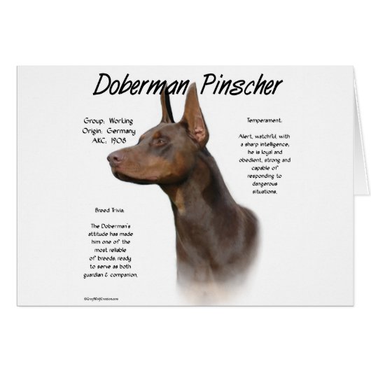Red Doberman History Cards (Front Horizontal)