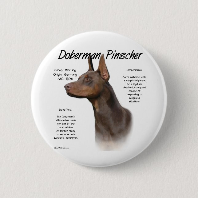 Red Doberman History  Pinback Button (Front)