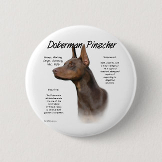 Red Doberman History Pinback Button