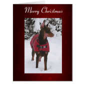 Red Doberman in Snow (v11-1 Ribbon) (Front)