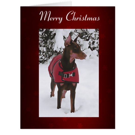 Red Doberman in Snow (v11-1 Ribbon) Cards (Front)