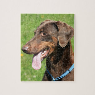 Red doberman jigsaw puzzle