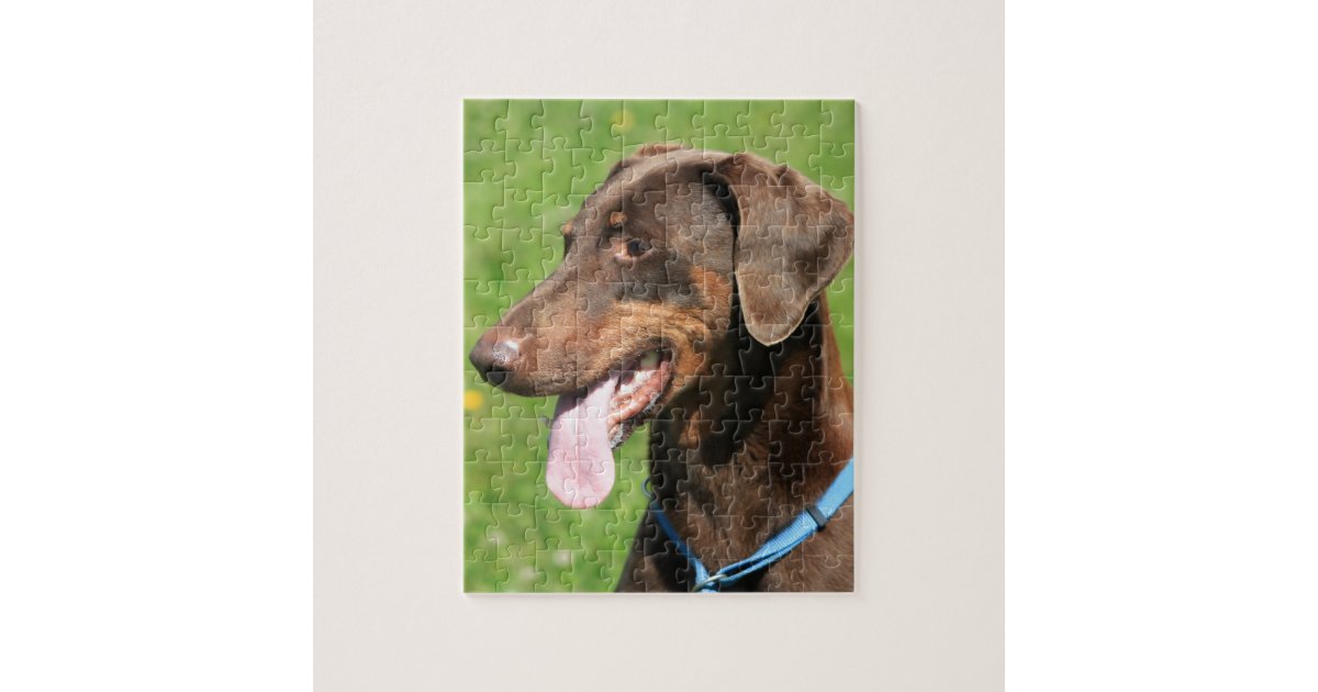 Red doberman jigsaw puzzle Zazzle