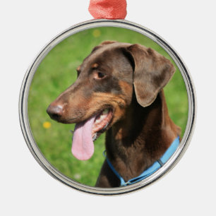 Red doberman metal ornament
