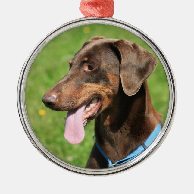 Red doberman metal ornament (Front)