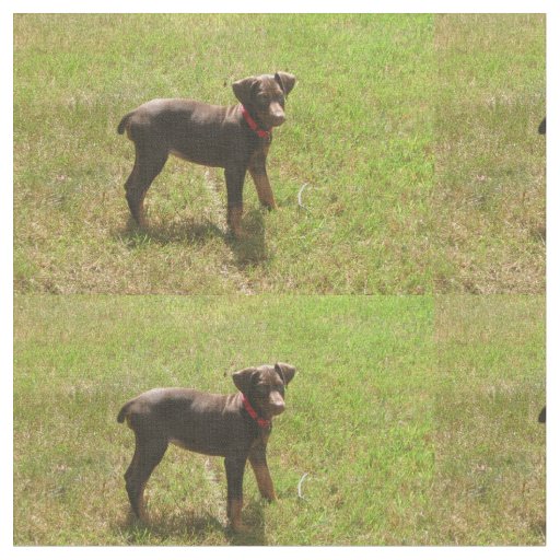 Red_doberman_puppy.png Fabric