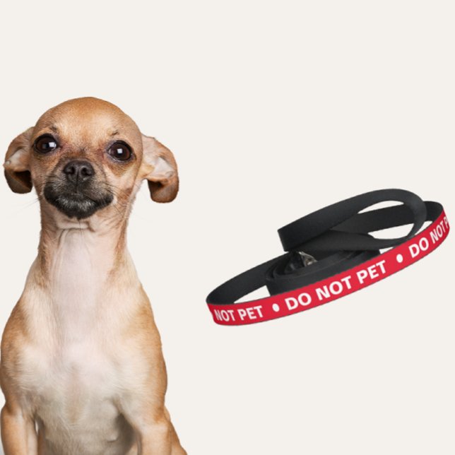 Red Dog Leash - Do Not Pet (Do  Not Pet Red Dog Leash)