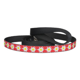 Red dog leash with Edelweiss pattern