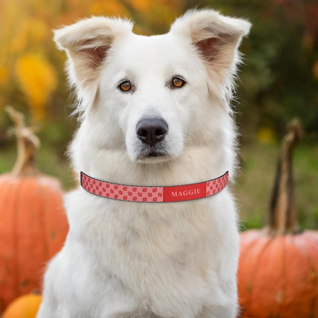 Red Dog Paws Pattern With Custom Name Pet Collar (Please note: This image is a digital mockup. The product may not be in scale.)