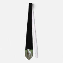 Red Dog Ranch - Lamb Neck Tie