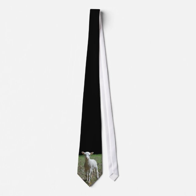 Red Dog Ranch - Lamb Neck Tie (Front)